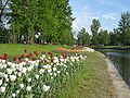 городской сад колпино адрес. 120px Kolpino Gorodskoy sad15. городской сад колпино адрес фото. городской сад колпино адрес-120px Kolpino Gorodskoy sad15. картинка городской сад колпино адрес. картинка 120px Kolpino Gorodskoy sad15.