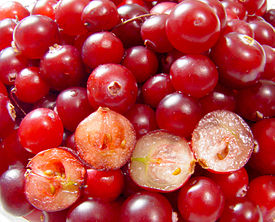 cranberry что это такое. Смотреть фото cranberry что это такое. Смотреть картинку cranberry что это такое. Картинка про cranberry что это такое. Фото cranberry что это такое