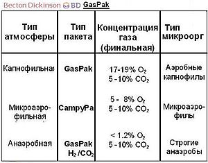 Анаэробные микроорганизмы что это. 300px Gaspak. Анаэробные микроорганизмы что это фото. Анаэробные микроорганизмы что это-300px Gaspak. картинка Анаэробные микроорганизмы что это. картинка 300px Gaspak